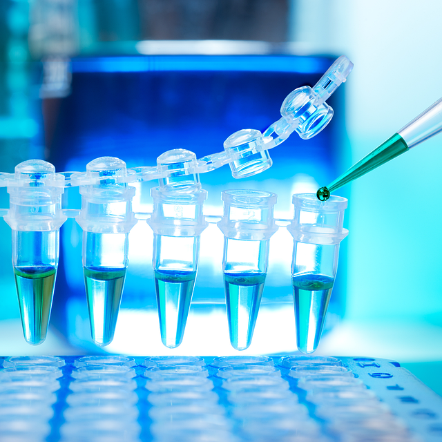 聚氨酯灌漿材料聚醚在古建筑基礎(chǔ)沉降處理中的應(yīng)用