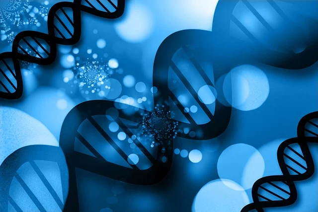 低氣味凝膠催化劑,是替代傳統(tǒng)高氣味凝膠催化劑的綠色升級(jí)產(chǎn)品